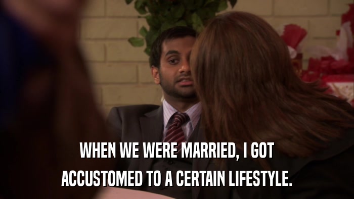 WHEN WE WERE MARRIED, I GOT ACCUSTOMED TO A CERTAIN LIFESTYLE. 