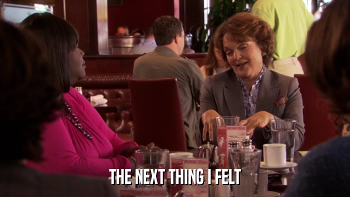 THE NEXT THING I FELT  