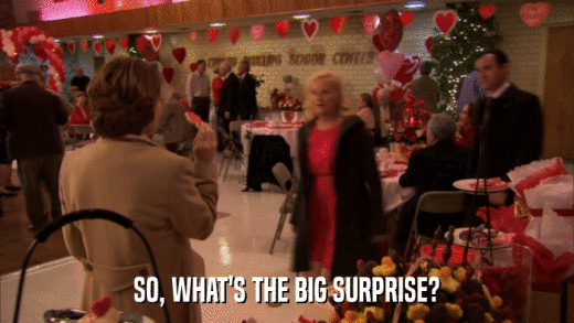 SO, WHAT'S THE BIG SURPRISE?  