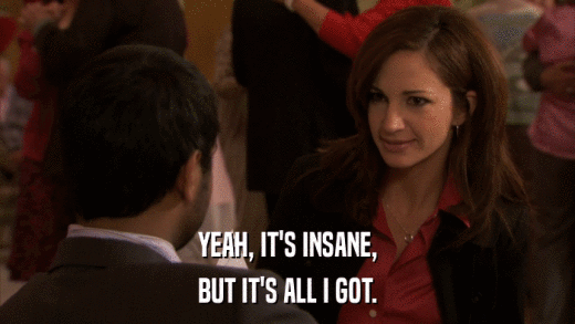 YEAH, IT'S INSANE, BUT IT'S ALL I GOT. 
