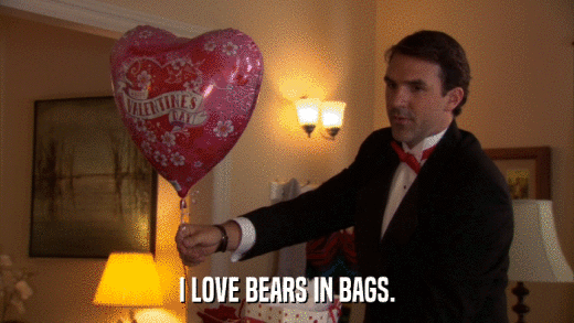 I LOVE BEARS IN BAGS.  