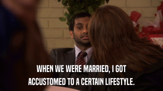WHEN WE WERE MARRIED, I GOT ACCUSTOMED TO A CERTAIN LIFESTYLE. 