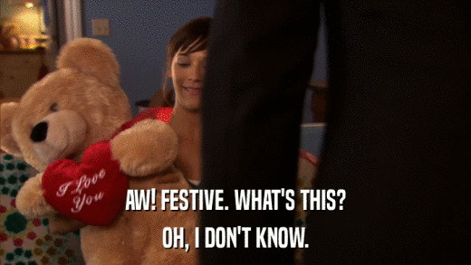 AW! FESTIVE. WHAT'S THIS? OH, I DON'T KNOW. 