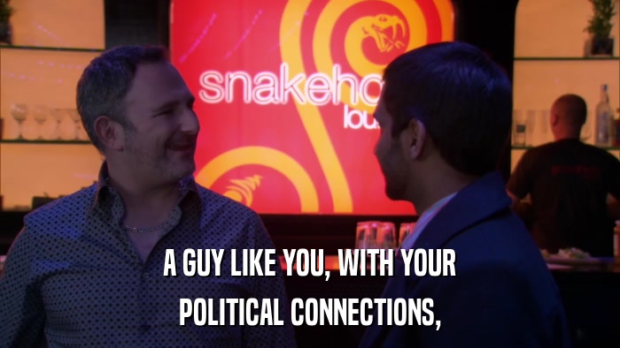 A GUY LIKE YOU, WITH YOUR POLITICAL CONNECTIONS, 