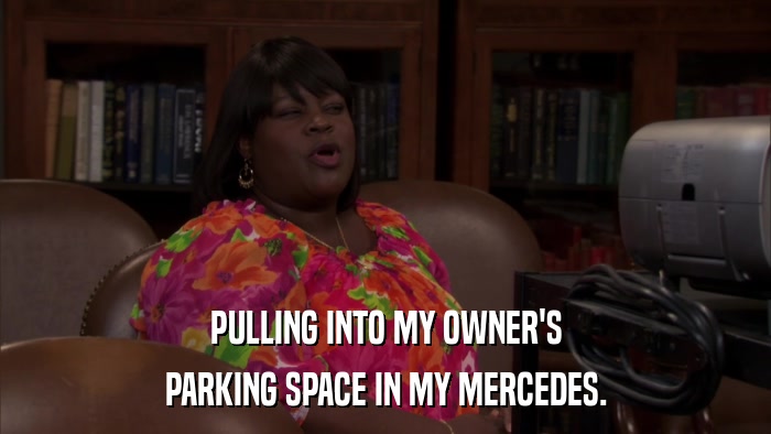 PULLING INTO MY OWNER'S PARKING SPACE IN MY MERCEDES. 