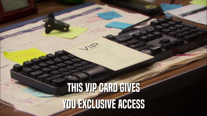 THIS VIP CARD GIVES YOU EXCLUSIVE ACCESS 