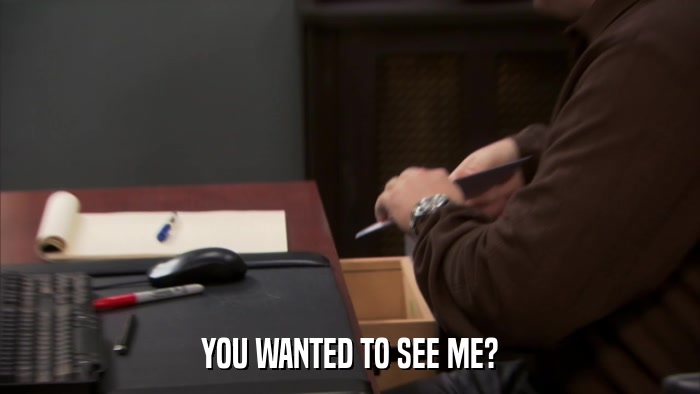 YOU WANTED TO SEE ME?  