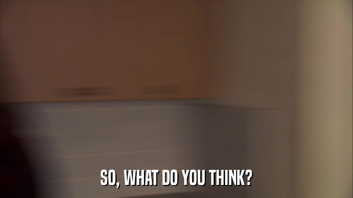SO, WHAT DO YOU THINK?  
