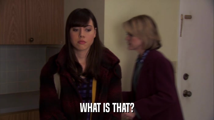 WHAT IS THAT?  