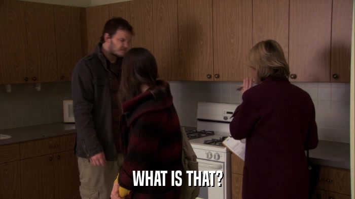 WHAT IS THAT?  