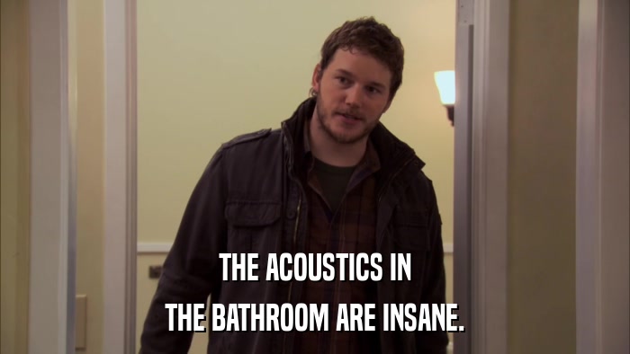 THE ACOUSTICS IN THE BATHROOM ARE INSANE. 