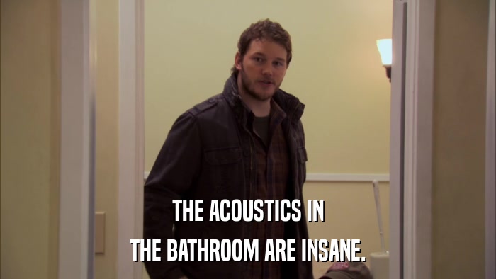 THE ACOUSTICS IN THE BATHROOM ARE INSANE. 