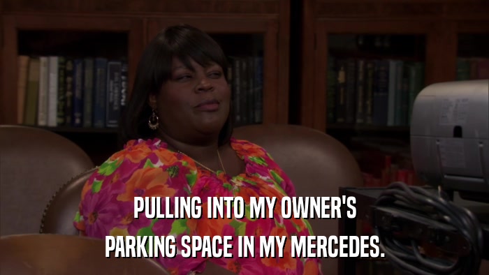 PULLING INTO MY OWNER'S PARKING SPACE IN MY MERCEDES. 
