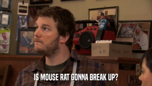 IS MOUSE RAT GONNA BREAK UP?  