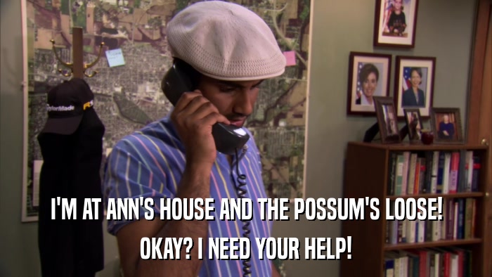 I'M AT ANN'S HOUSE AND THE POSSUM'S LOOSE! OKAY? I NEED YOUR HELP! 