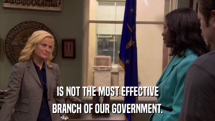 IS NOT THE MOST EFFECTIVE BRANCH OF OUR GOVERNMENT. 