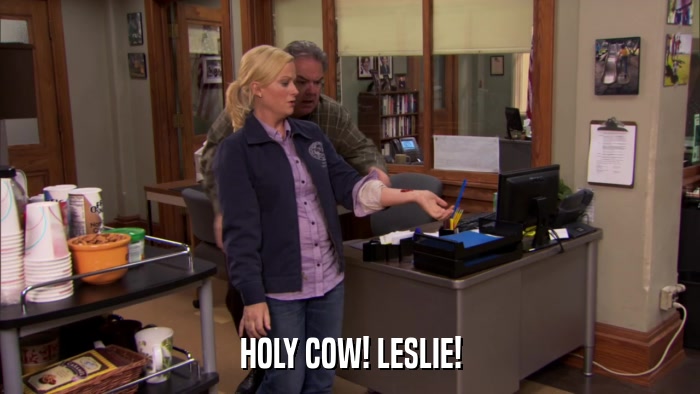 HOLY COW! LESLIE!  