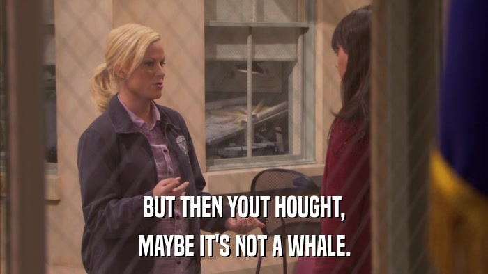 BUT THEN YOUT HOUGHT, MAYBE IT'S NOT A WHALE. 