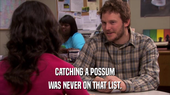 CATCHING A POSSUM WAS NEVER ON THAT LIST. 