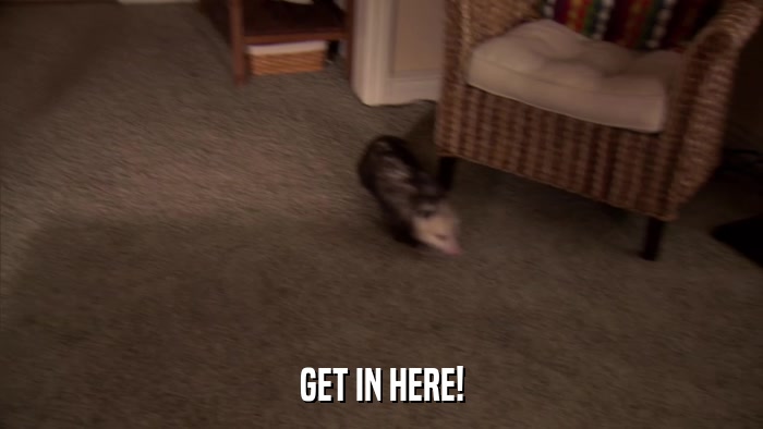 GET IN HERE!  