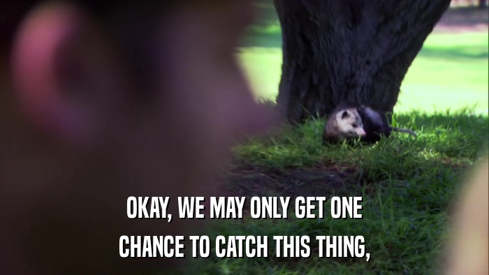 OKAY, WE MAY ONLY GET ONE CHANCE TO CATCH THIS THING, 