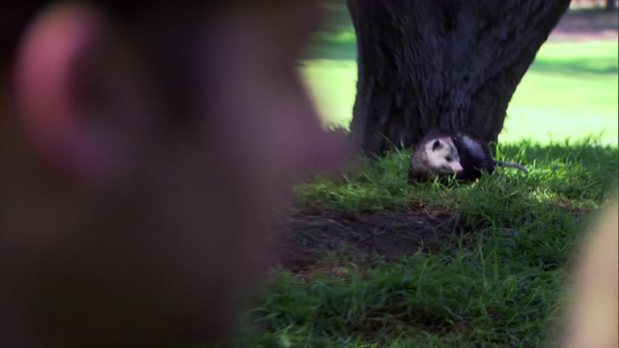 OKAY, WE MAY ONLY GET ONE CHANCE TO CATCH THIS THING, 
