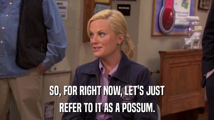 SO, FOR RIGHT NOW, LET'S JUST REFER TO IT AS A POSSUM. 
