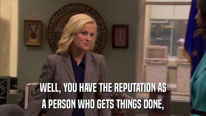 WELL, YOU HAVE THE REPUTATION AS A PERSON WHO GETS THINGS DONE, 