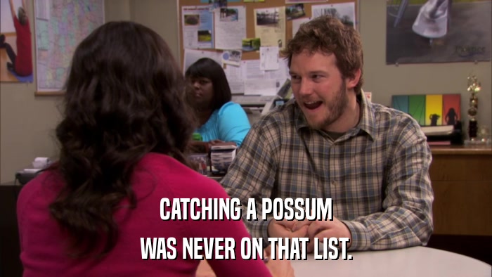 CATCHING A POSSUM WAS NEVER ON THAT LIST. 