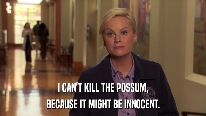 I CAN'T KILL THE POSSUM, BECAUSE IT MIGHT BE INNOCENT. 