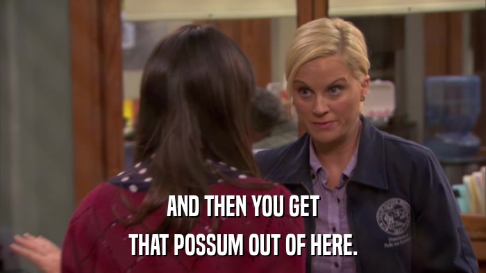 AND THEN YOU GET THAT POSSUM OUT OF HERE. 