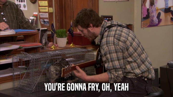 YOU'RE GONNA FRY, OH, YEAH  