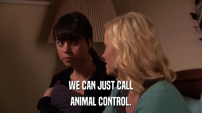 WE CAN JUST CALL ANIMAL CONTROL. 