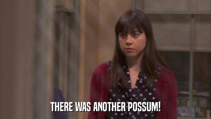 THERE WAS ANOTHER POSSUM!  