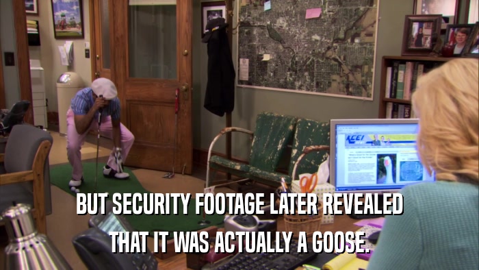 BUT SECURITY FOOTAGE LATER REVEALED THAT IT WAS ACTUALLY A GOOSE. 