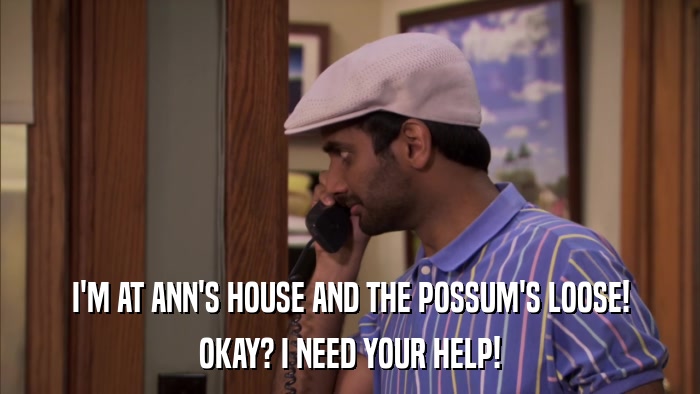 I'M AT ANN'S HOUSE AND THE POSSUM'S LOOSE! OKAY? I NEED YOUR HELP! 
