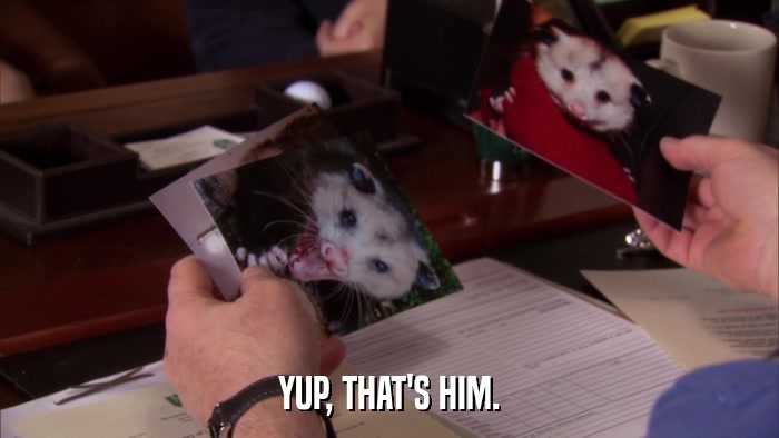 YUP, THAT'S HIM.  