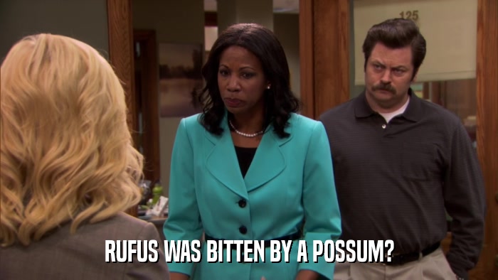 RUFUS WAS BITTEN BY A POSSUM?  