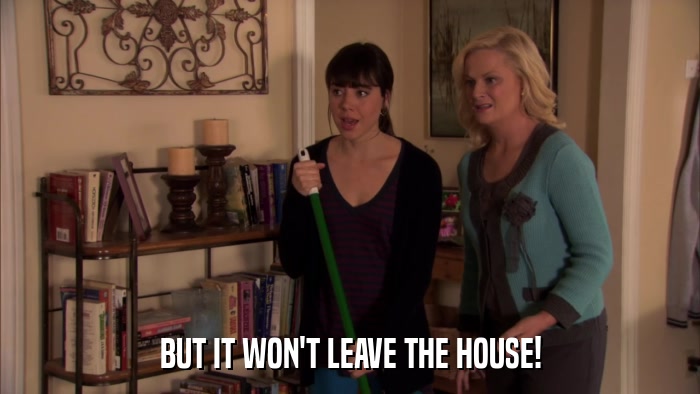 BUT IT WON'T LEAVE THE HOUSE!  