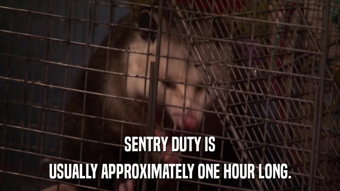 SENTRY DUTY IS USUALLY APPROXIMATELY ONE HOUR LONG. 