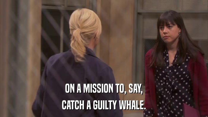 ON A MISSION TO, SAY, CATCH A GUILTY WHALE. 