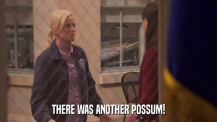 THERE WAS ANOTHER POSSUM!  
