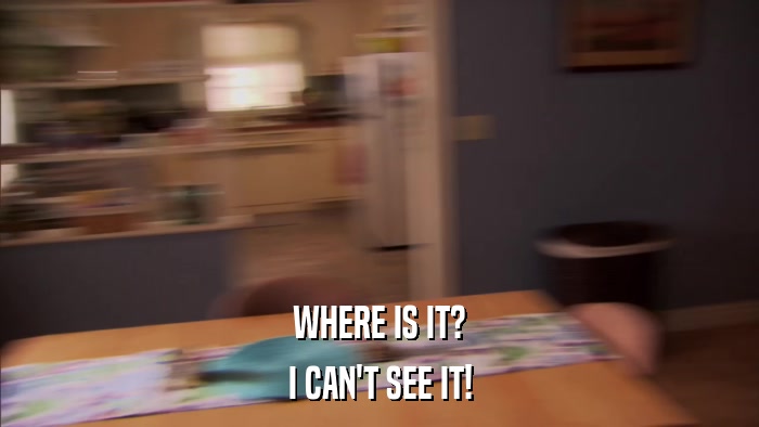 WHERE IS IT? I CAN'T SEE IT! 