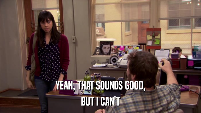 YEAH, THAT SOUNDS GOOD, BUT I CAN'T 