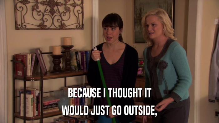 BECAUSE I THOUGHT IT WOULD JUST GO OUTSIDE, 