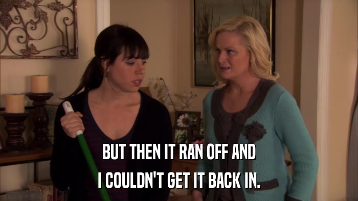 BUT THEN IT RAN OFF AND I COULDN'T GET IT BACK IN. 
