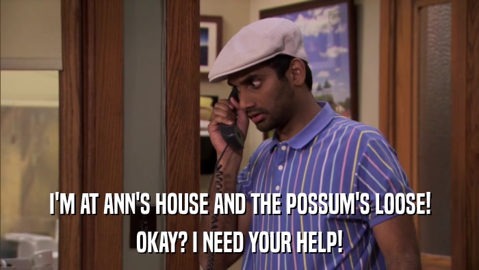 I'M AT ANN'S HOUSE AND THE POSSUM'S LOOSE! OKAY? I NEED YOUR HELP! 