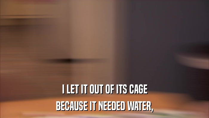 I LET IT OUT OF ITS CAGE BECAUSE IT NEEDED WATER, 