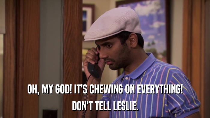 OH, MY GOD! IT'S CHEWING ON EVERYTHING! DON'T TELL LESLIE. 
