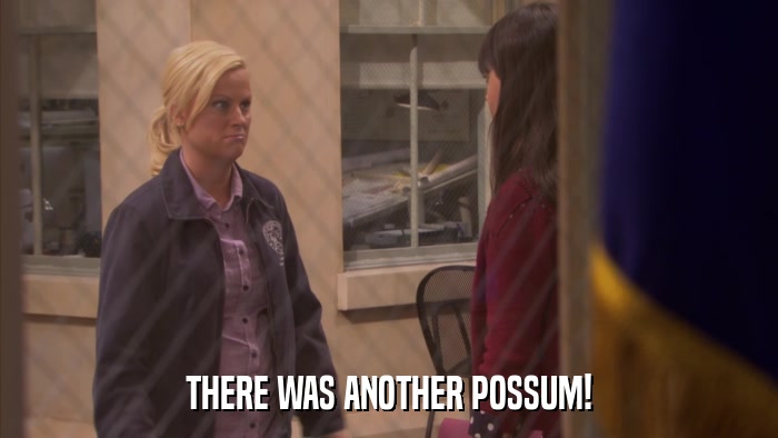 THERE WAS ANOTHER POSSUM!  